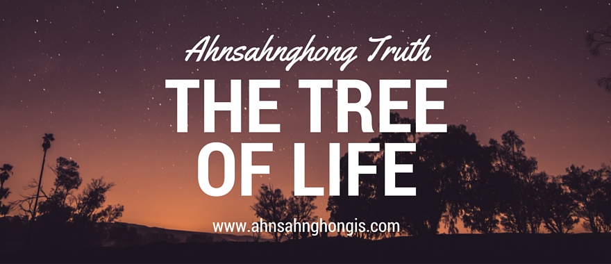 Ahnsahnghong Truth – The Tree of Life